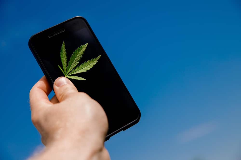 SMS in Marijuana Shift