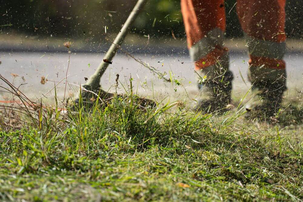 sms campaign ideas for landscaping companies