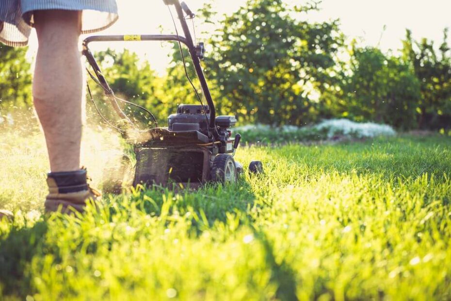 sms campaign ideas for lawn care and landscaping businesses